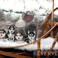 processed/6190875c-1634-4aad-8480-2787a4c2b2b2/facility/cf96de05-51ab-4718-97dd-ad4d8b2f5269