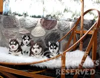 processed/6190875c-1634-4aad-8480-2787a4c2b2b2/facility/cf96de05-51ab-4718-97dd-ad4d8b2f5269