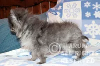 processed/6190875c-1634-4aad-8480-2787a4c2b2b2/listing/30c99970-a5b0-44ae-ae65-bb838107a198/16782e5e-cfcc-4e2b-b600-1fe5d73d46f2