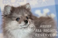 processed/6190875c-1634-4aad-8480-2787a4c2b2b2/listing/30c99970-a5b0-44ae-ae65-bb838107a198/63e1bbc0-6f0f-4675-8e1f-2a3e51b5d85b