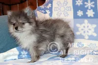 processed/6190875c-1634-4aad-8480-2787a4c2b2b2/listing/30c99970-a5b0-44ae-ae65-bb838107a198/abedcb07-e259-4c3f-8c49-b15d539b9b4e