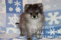 processed/6190875c-1634-4aad-8480-2787a4c2b2b2/listing/30c99970-a5b0-44ae-ae65-bb838107a198/afea6426-95cb-4ac7-8170-81d0d52e1b85