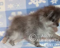 processed/6190875c-1634-4aad-8480-2787a4c2b2b2/listing/30c99970-a5b0-44ae-ae65-bb838107a198/cedc8789-8dad-4108-89ac-151274b19fe1