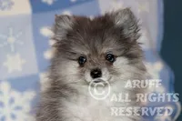 processed/6190875c-1634-4aad-8480-2787a4c2b2b2/listing/30c99970-a5b0-44ae-ae65-bb838107a198/fab0630c-fdc5-4f06-9387-7a9864fec99d