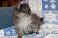 processed/6190875c-1634-4aad-8480-2787a4c2b2b2/listing/30c99970-a5b0-44ae-ae65-bb838107a198/ff63b474-4ea0-4dda-a723-54739a58f2e8