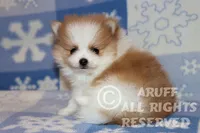 processed/6190875c-1634-4aad-8480-2787a4c2b2b2/listing/377e7bf9-ead5-4a4e-89ad-b235f12db9e7/3188f5b1-6b72-4d4f-9b3f-9912d03bfc21