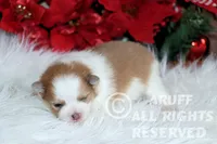 processed/6190875c-1634-4aad-8480-2787a4c2b2b2/listing/377e7bf9-ead5-4a4e-89ad-b235f12db9e7/32c01ae0-a416-407c-bb6c-c904dcb41feb