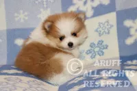 processed/6190875c-1634-4aad-8480-2787a4c2b2b2/listing/377e7bf9-ead5-4a4e-89ad-b235f12db9e7/445b49b0-823d-4c02-ac49-6a870df90dcd