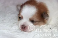 processed/6190875c-1634-4aad-8480-2787a4c2b2b2/listing/377e7bf9-ead5-4a4e-89ad-b235f12db9e7/6b11555c-e4a6-4dea-bd38-dffc86c76755