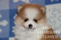 processed/6190875c-1634-4aad-8480-2787a4c2b2b2/listing/377e7bf9-ead5-4a4e-89ad-b235f12db9e7/cd136a65-5a62-4bf7-a934-309e020cdf7a