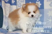 processed/6190875c-1634-4aad-8480-2787a4c2b2b2/listing/377e7bf9-ead5-4a4e-89ad-b235f12db9e7/dd6ce2ca-0710-4bee-9cd4-7b6ca0e9ebce