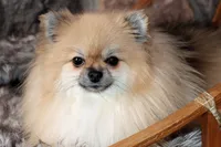 processed/6190875c-1634-4aad-8480-2787a4c2b2b2/listing/77b8d344-d9af-4b79-bef7-0e8b7b42bdd1/1f449c94-4a89-4bf4-af41-f921c1643361