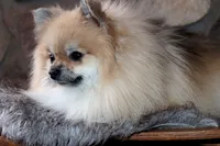 processed/6190875c-1634-4aad-8480-2787a4c2b2b2/listing/77b8d344-d9af-4b79-bef7-0e8b7b42bdd1/6912d5bb-8557-40be-b05b-ac9b1262b97f