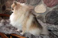 processed/6190875c-1634-4aad-8480-2787a4c2b2b2/listing/77b8d344-d9af-4b79-bef7-0e8b7b42bdd1/6aeb54b6-2a1b-4c92-92d8-851cd59bff8e