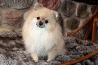 processed/6190875c-1634-4aad-8480-2787a4c2b2b2/listing/77b8d344-d9af-4b79-bef7-0e8b7b42bdd1/bba96382-bdae-4ac3-b91f-de4786593ab7