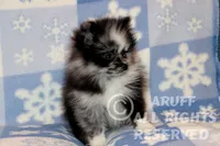 processed/6190875c-1634-4aad-8480-2787a4c2b2b2/listing/e2203b47-6ab9-4c94-92e2-e36fff6cd516/0b12f595-8388-4b39-b51e-edcffb44b052