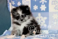 processed/6190875c-1634-4aad-8480-2787a4c2b2b2/listing/e2203b47-6ab9-4c94-92e2-e36fff6cd516/36b4e638-4ceb-4118-90fe-883515a3ba53