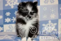 processed/6190875c-1634-4aad-8480-2787a4c2b2b2/listing/e2203b47-6ab9-4c94-92e2-e36fff6cd516/7e8bffdc-10d0-4c3f-b27c-7e429ddb3b93