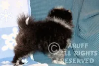 processed/6190875c-1634-4aad-8480-2787a4c2b2b2/listing/e2203b47-6ab9-4c94-92e2-e36fff6cd516/9801eb35-c29e-4934-b049-866201550175