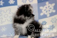 processed/6190875c-1634-4aad-8480-2787a4c2b2b2/listing/e2203b47-6ab9-4c94-92e2-e36fff6cd516/c3f92bae-d036-41bb-93e3-63bfd490098c