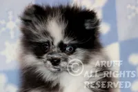 processed/6190875c-1634-4aad-8480-2787a4c2b2b2/listing/e2203b47-6ab9-4c94-92e2-e36fff6cd516/d18674d0-b7ec-4c83-a537-89c9add4ae19