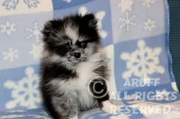 processed/6190875c-1634-4aad-8480-2787a4c2b2b2/listing/e2203b47-6ab9-4c94-92e2-e36fff6cd516/d9836d7d-1dd7-44c1-981f-865c9db4d794