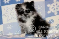 processed/6190875c-1634-4aad-8480-2787a4c2b2b2/listing/e2203b47-6ab9-4c94-92e2-e36fff6cd516/f1a7e83b-5adb-4ad0-baa7-584186824ff9