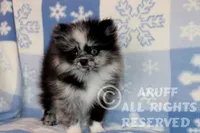 processed/6190875c-1634-4aad-8480-2787a4c2b2b2/listing/e2203b47-6ab9-4c94-92e2-e36fff6cd516/f934f541-662b-437e-93d6-c275aff512b3