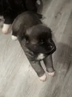 processed/6194eab7-5d26-47ce-8afb-825e3f24e584/listing/4135bb28-9e4a-428c-98bc-debba4460f92/190c431e-9003-4801-a359-b586fc36f14b