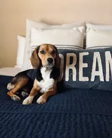 Purple, a female Beagle for sale in Lipan, TX – 8 of 8