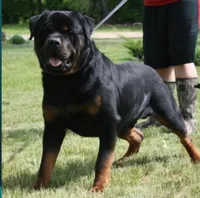 processed/619beb15-7cc7-4392-a7fc-2179157440fb/facility/8d91ce6c-7ccf-439e-97a9-2930c08211cf