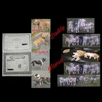 processed/619e9215-f414-458d-afc3-c41a84d02bc5/facility/82fe5cec-1031-4c60-ac34-f316fcbdbded