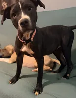 processed/619e9215-f414-458d-afc3-c41a84d02bc5/facility/f61b38ea-9b5b-4015-9bea-1b8610bcd023