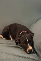 processed/619e9215-f414-458d-afc3-c41a84d02bc5/listing/ae9ba900-068d-48fc-a090-7b0c87efb4e7/34aff137-4f7d-4208-a44d-aec1706c113b