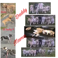 processed/619e9215-f414-458d-afc3-c41a84d02bc5/listing/ae9ba900-068d-48fc-a090-7b0c87efb4e7/6a530294-9bea-418b-a6b7-3356fc973394