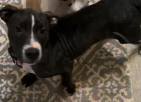 processed/619e9215-f414-458d-afc3-c41a84d02bc5/listing/ae9ba900-068d-48fc-a090-7b0c87efb4e7/786bfa4a-ba08-4569-b23e-34d7a0c9a08c