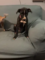 processed/619e9215-f414-458d-afc3-c41a84d02bc5/listing/ae9ba900-068d-48fc-a090-7b0c87efb4e7/d134d169-fa4b-49fe-9e17-79c997edc540