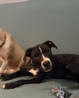 processed/619e9215-f414-458d-afc3-c41a84d02bc5/listing/ae9ba900-068d-48fc-a090-7b0c87efb4e7/f6661ed9-6b05-4ddb-a4cf-cb950f053e6b