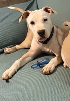 processed/619e9215-f414-458d-afc3-c41a84d02bc5/listing/d322517f-7e92-492a-96c0-53fdc3d83d54/75abd854-0c26-4d81-8f65-1cbb7a44ea4d