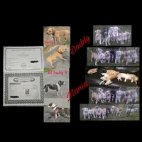 processed/619e9215-f414-458d-afc3-c41a84d02bc5/listing/d322517f-7e92-492a-96c0-53fdc3d83d54/b9d6507a-0fd5-44a8-9739-3081e402cdb4