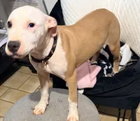 processed/619e9215-f414-458d-afc3-c41a84d02bc5/listing/d322517f-7e92-492a-96c0-53fdc3d83d54/fb5ea85e-4792-4075-9461-02f79320b8a0