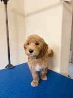 Facility photo