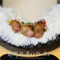 processed/61a6ff9c-23c9-4998-9c09-26e58a632325/facility/109230cd-59b3-418d-a7f4-ffd31b5478f4