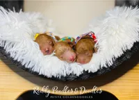 processed/61a6ff9c-23c9-4998-9c09-26e58a632325/facility/109230cd-59b3-418d-a7f4-ffd31b5478f4