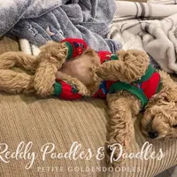 processed/61a6ff9c-23c9-4998-9c09-26e58a632325/facility/532a24b8-287b-484d-bc05-76d9466ed162