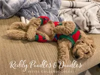 processed/61a6ff9c-23c9-4998-9c09-26e58a632325/facility/532a24b8-287b-484d-bc05-76d9466ed162