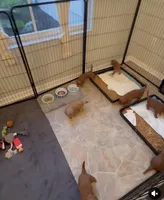 processed/61a91023-3a8a-454f-a40a-052f6143eb05/facility/79d25627-ebf9-4f08-9197-185a9c30ef97