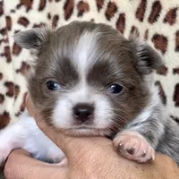 processed/61ab559a-5a5f-4d3e-b0ea-09ef7feaee67/facility/3731719f-cbfa-4ddd-bd5e-77f4155d96bb