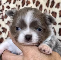 processed/61ab559a-5a5f-4d3e-b0ea-09ef7feaee67/facility/3731719f-cbfa-4ddd-bd5e-77f4155d96bb