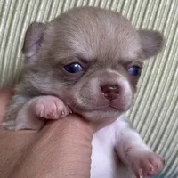 processed/61ab559a-5a5f-4d3e-b0ea-09ef7feaee67/facility/3b16bb8d-ce2c-4c85-abab-0f956f6a5c27